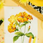 Article exemple